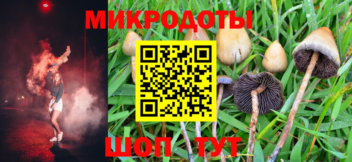Псилоцибиновые грибы Psilocybine cubensis Урюпинск