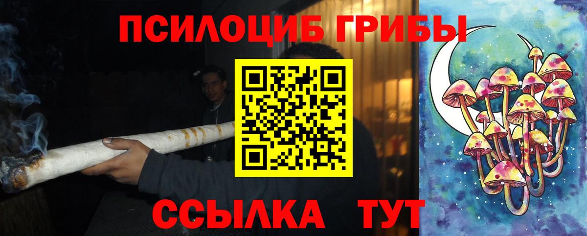 Урюпинск  Галлюциногенные грибы Psilocybine cubensis  Псилоцибиновые грибы Cubensis  Вход с VPN 